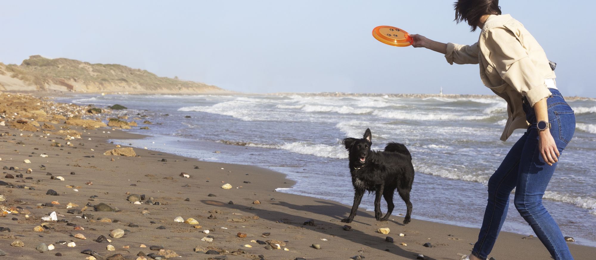 Wide angle of dog on beach and woman throwing frisbee