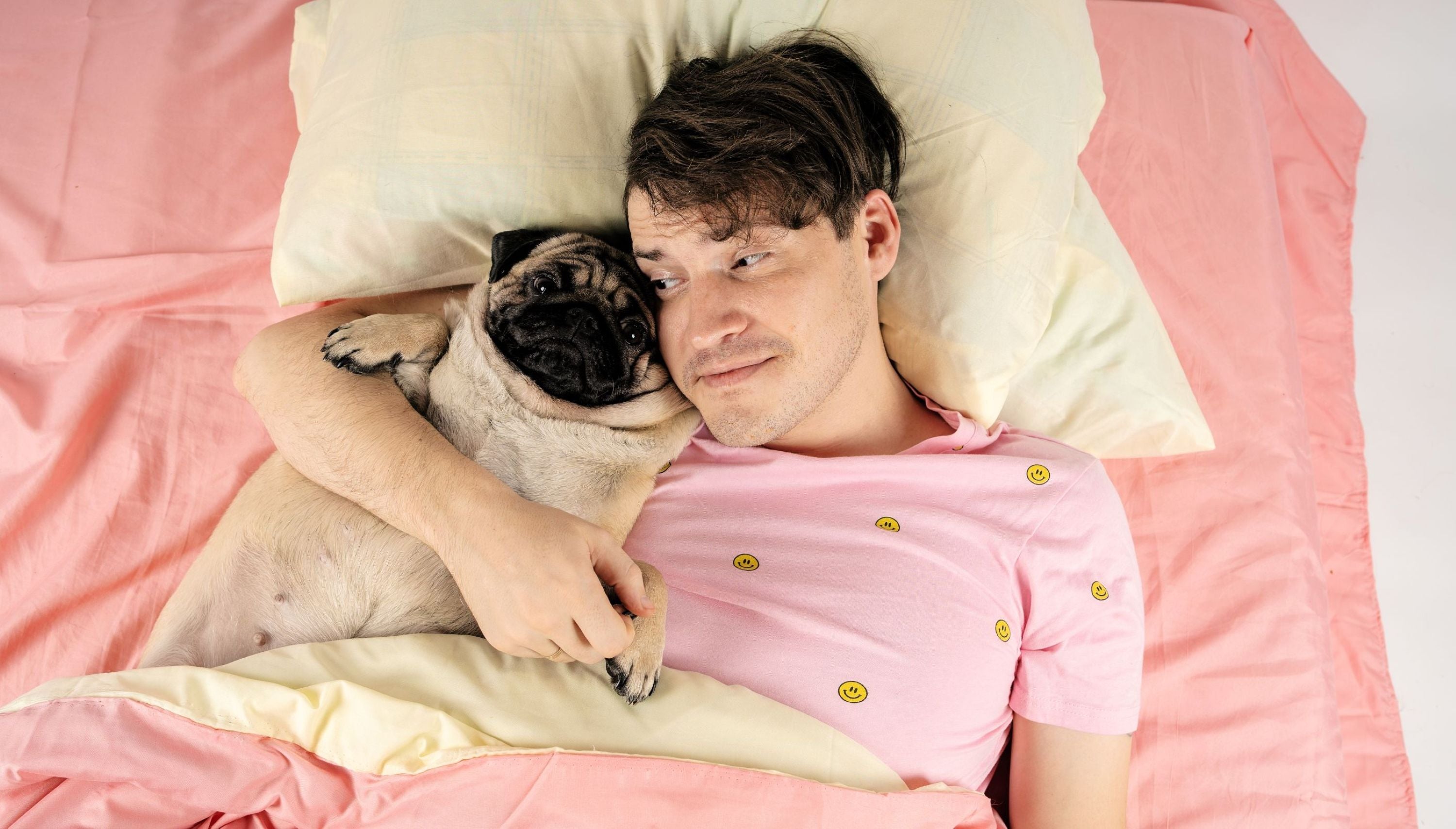 Man sleeping in bed with pug dog illustrating the dilemma of co-sleeping with pets