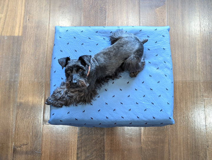 Blue Toby Pet Bed size dog on bed