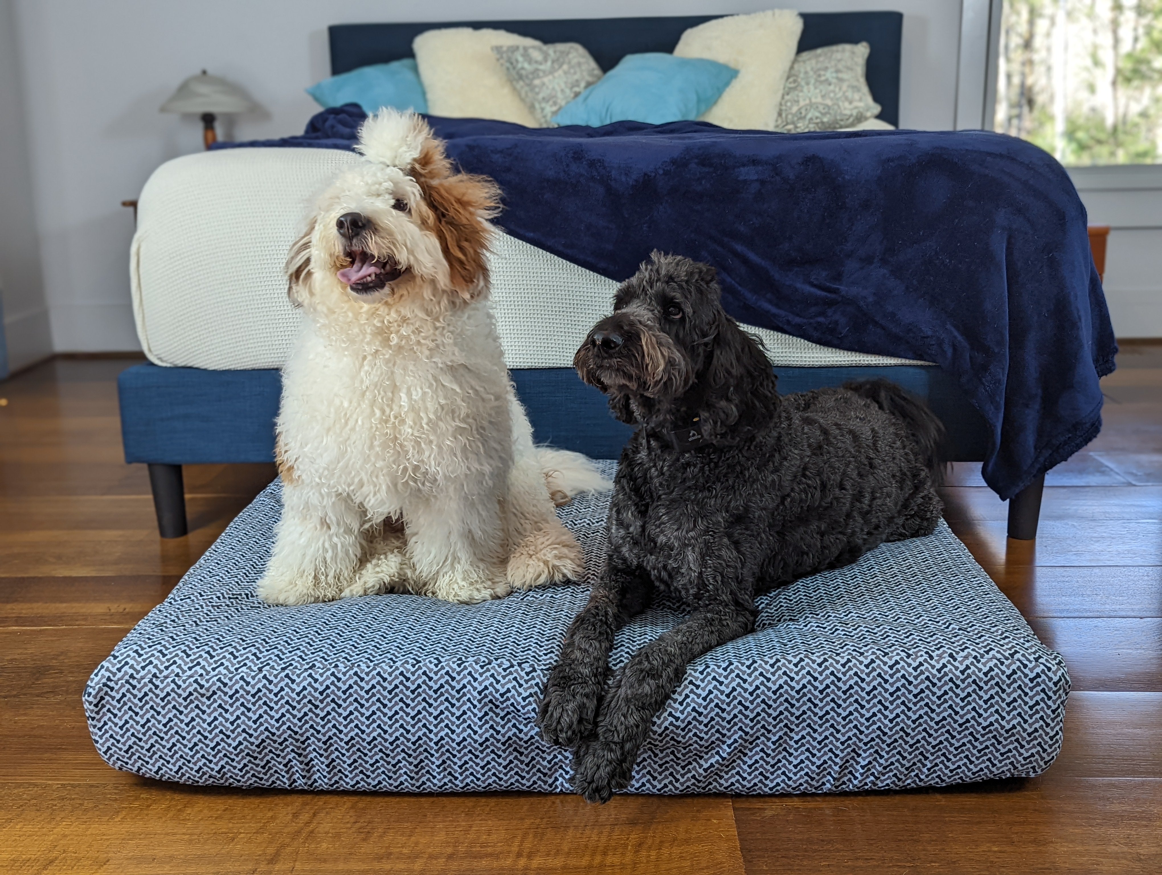 White and Black Dog on Blue Toby Pet Bed