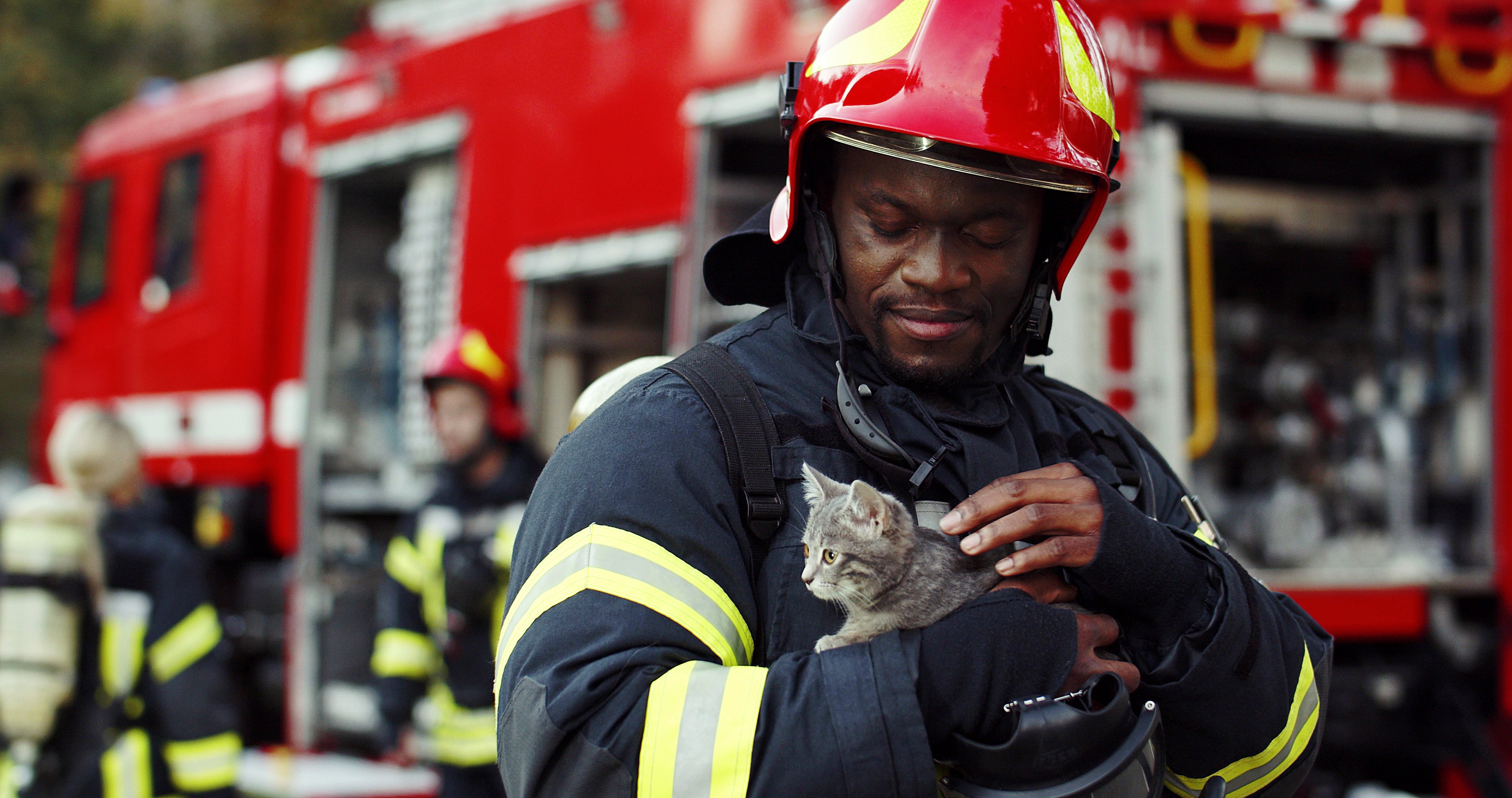 Blue Toby National Pet Fire Safety Day