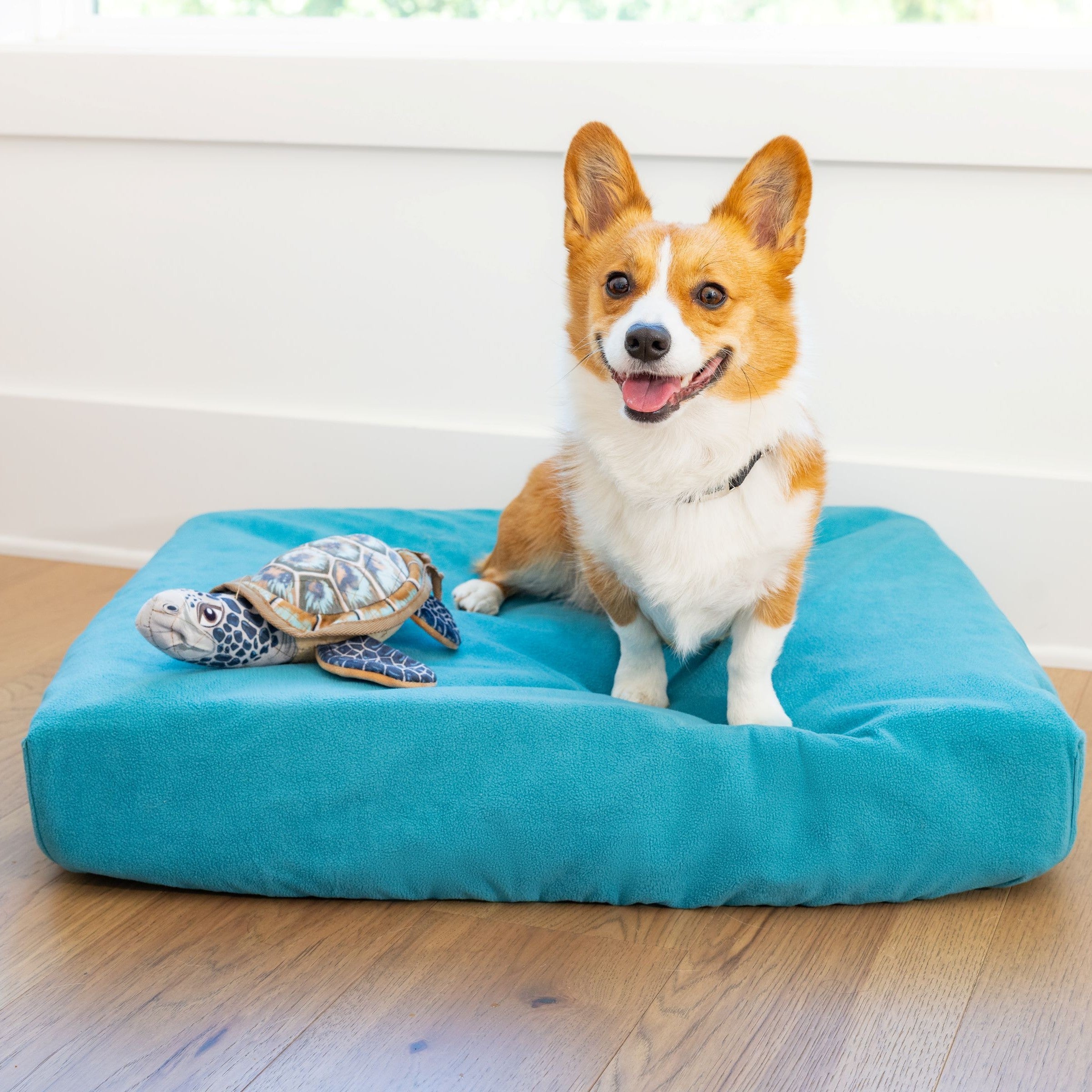 Corgi on Blue Toby Classic Comfort Bed in teal blue