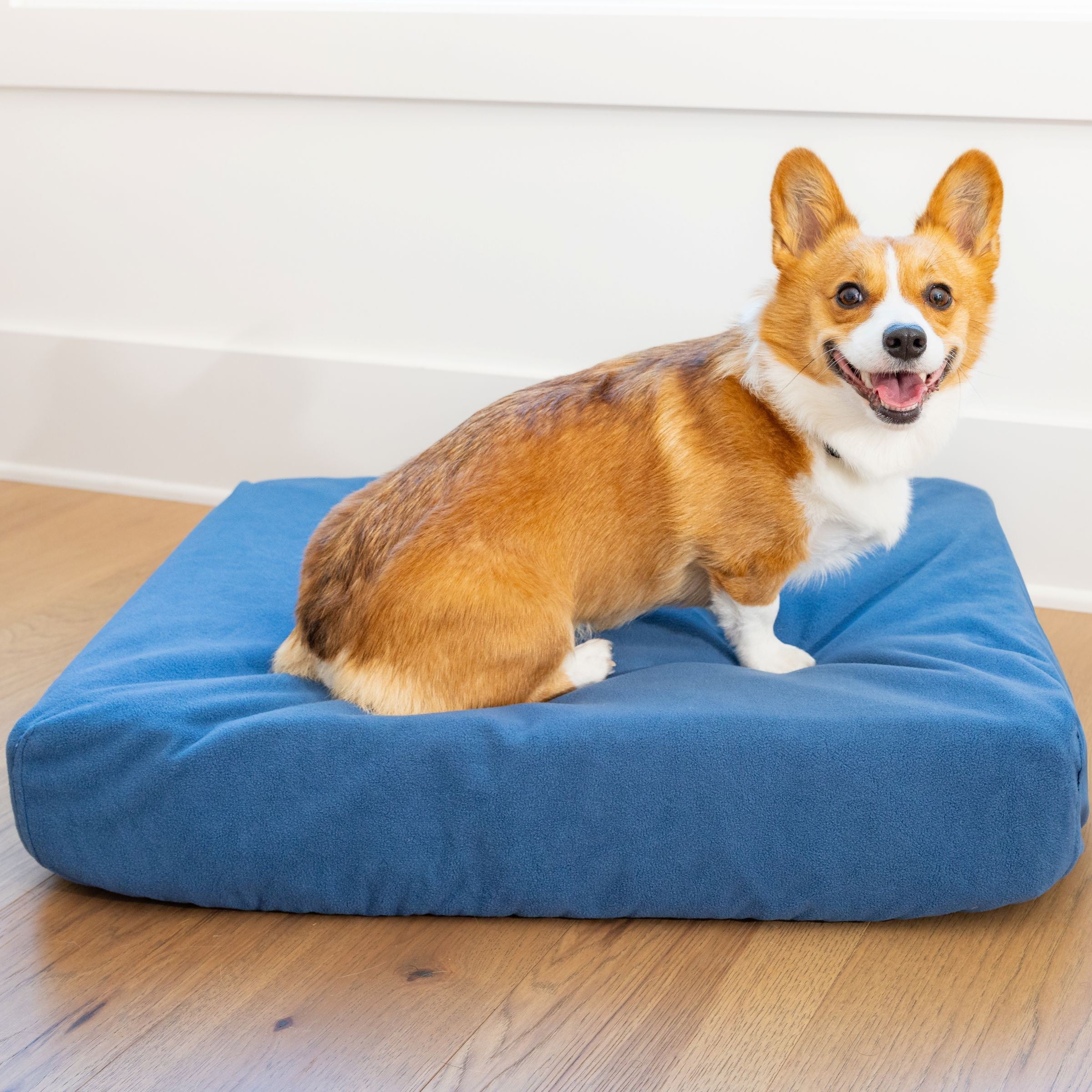 Corgi on Blue Toby Classic Comfort in Midnight blue