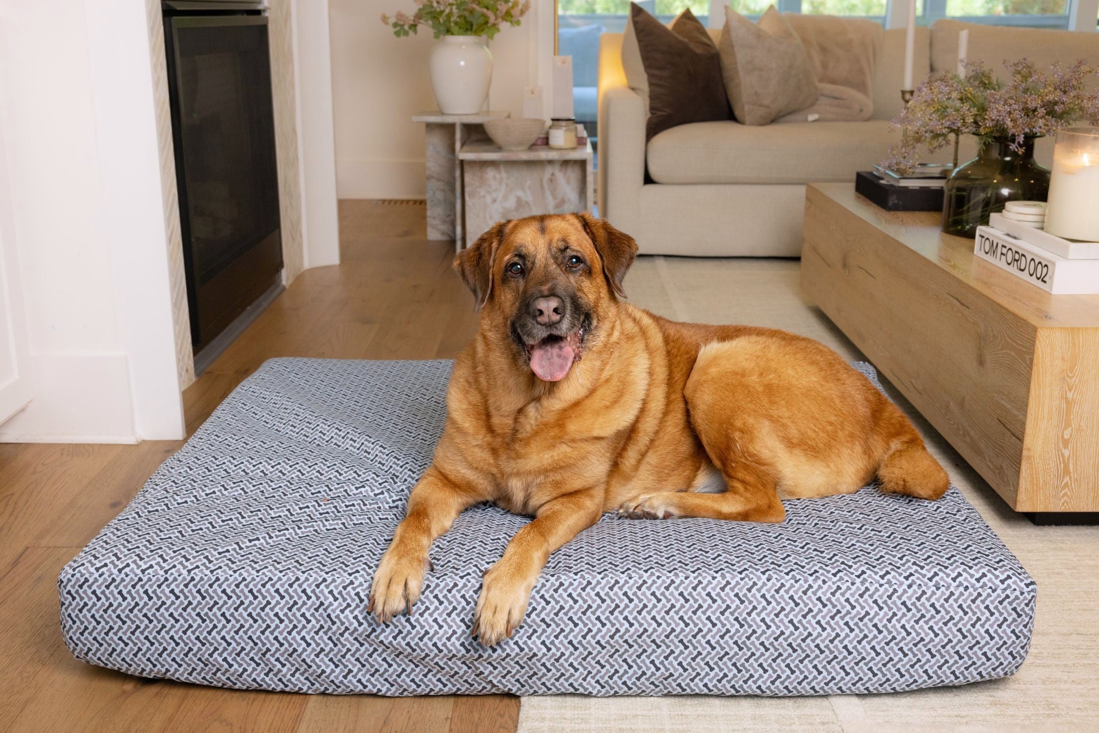 Brown dog on Blue Toby Eco Support Bed