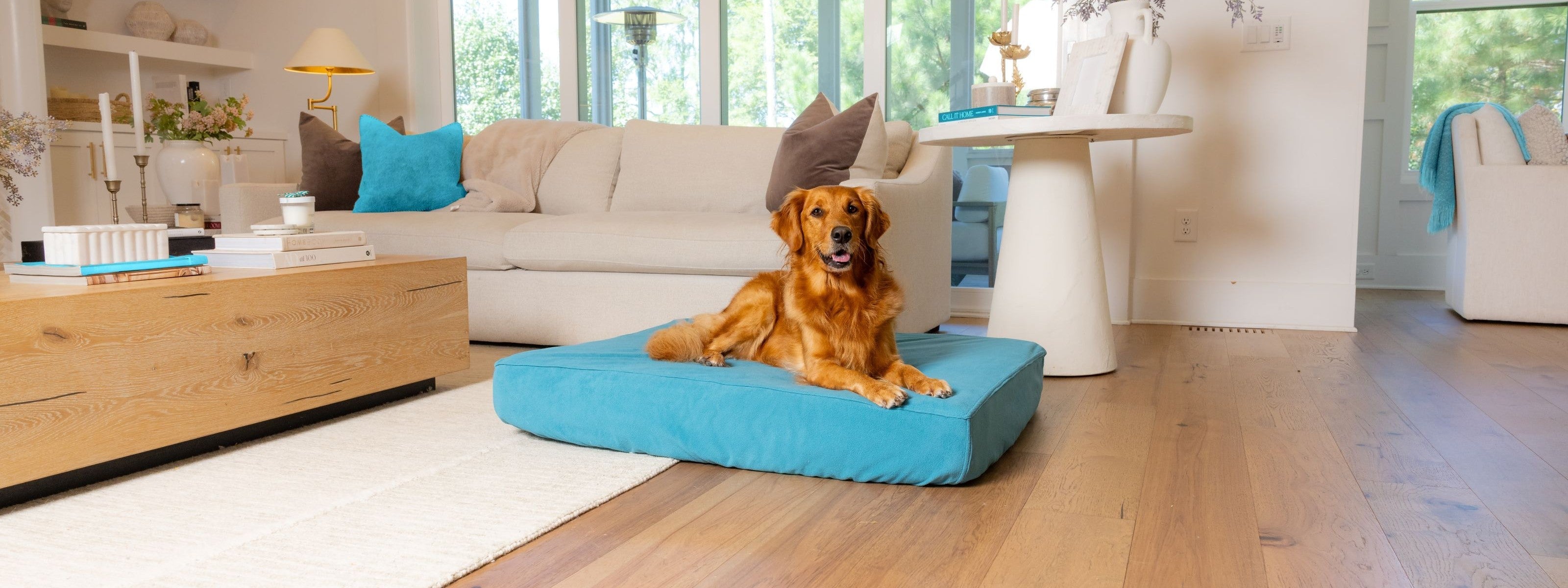 Golden retriever on Blue Toby pet bed NaturaLux