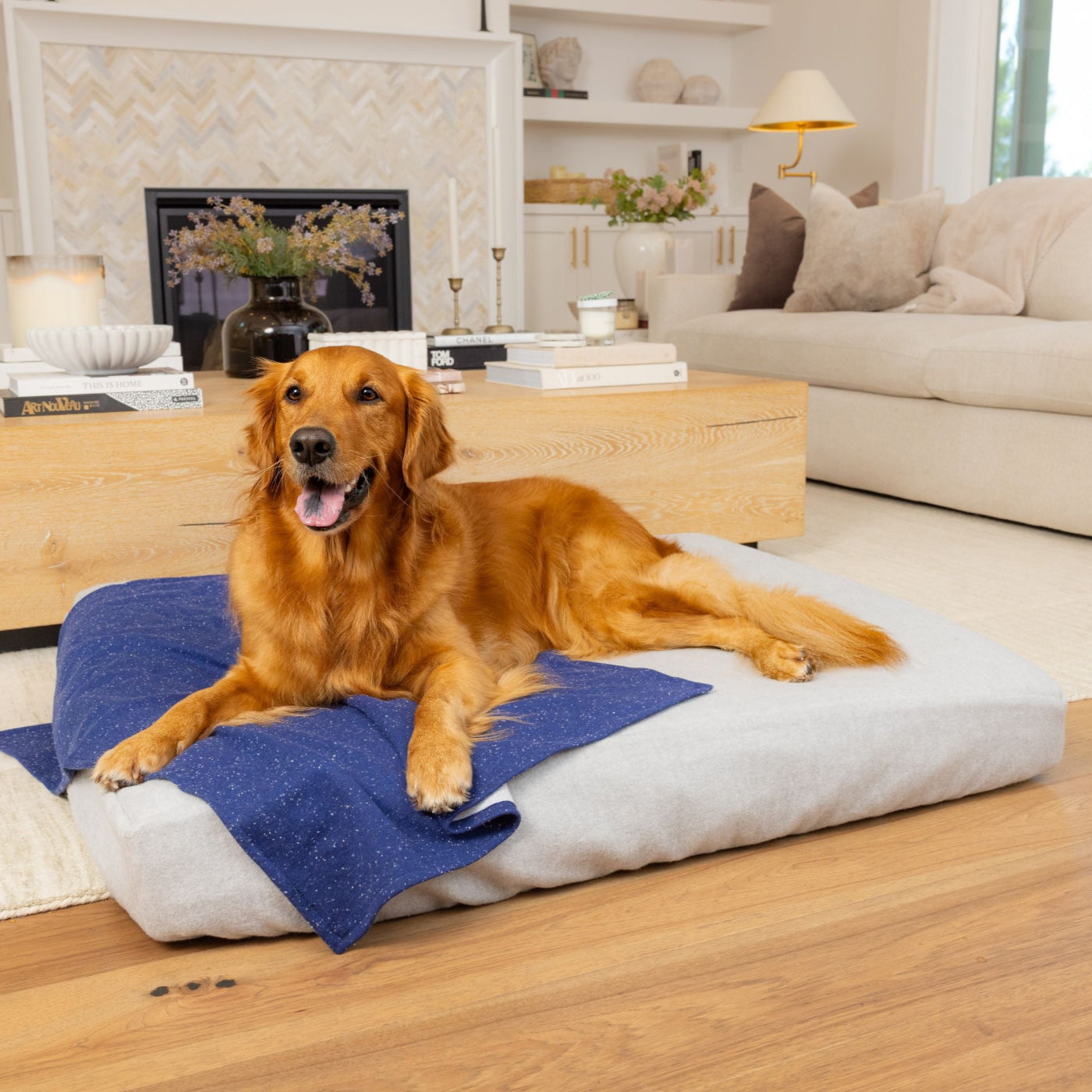Golden retriever laying on Blue Toby blanket and bed in living room
