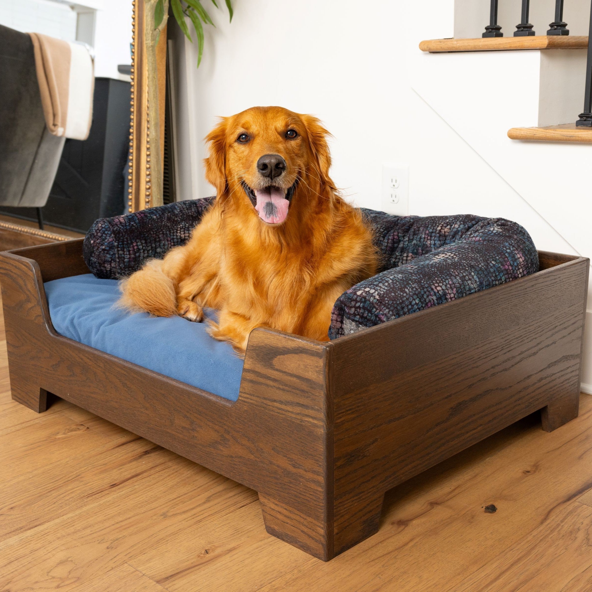 Dog in Blue Toby pet bed with bed frame and Nap Noodle