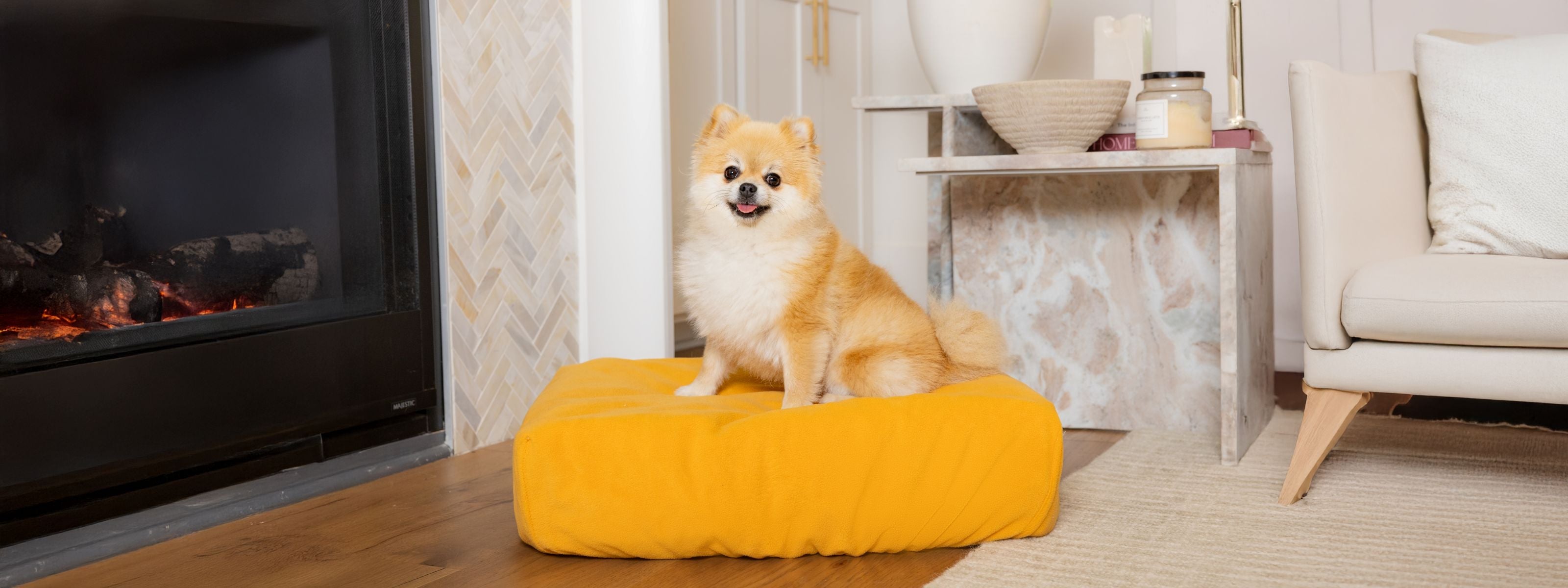 Pomeranian on Blue Toby NaturaLuxe bed in honey yellow