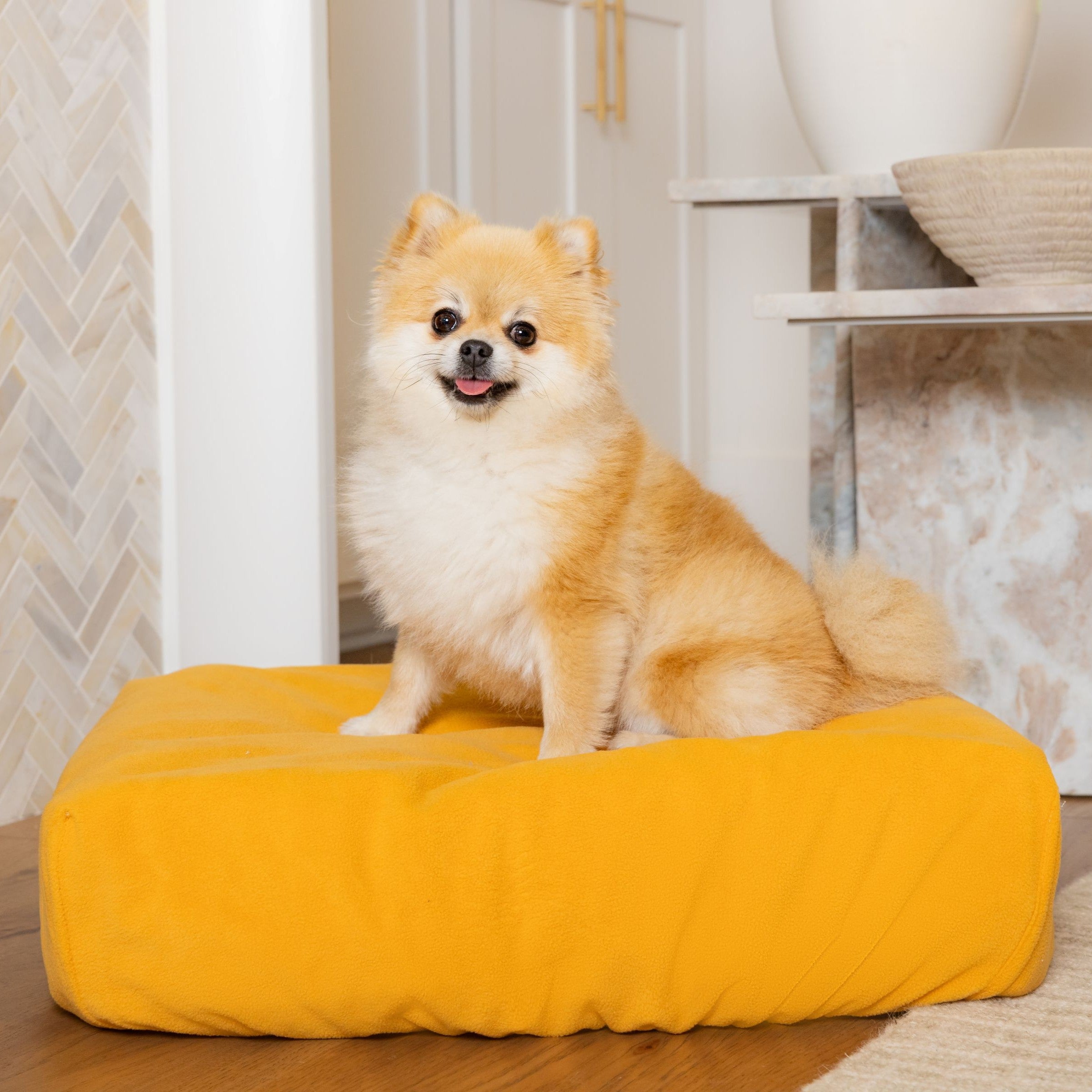Dog on Blue Toby Classic Comfort bed curry yellow