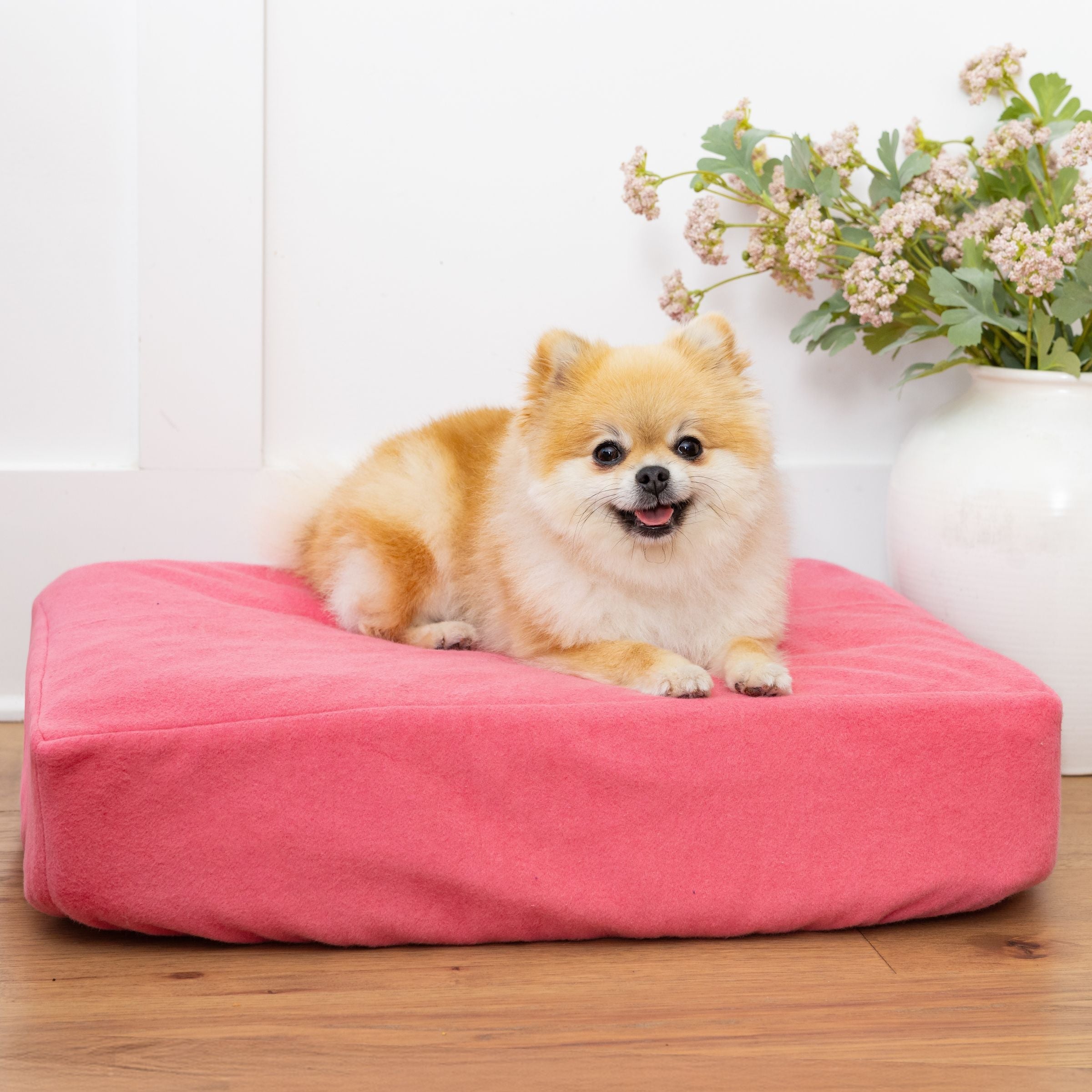 Small dog on Blue Toby NaturaLux pet bed with rose slipcover