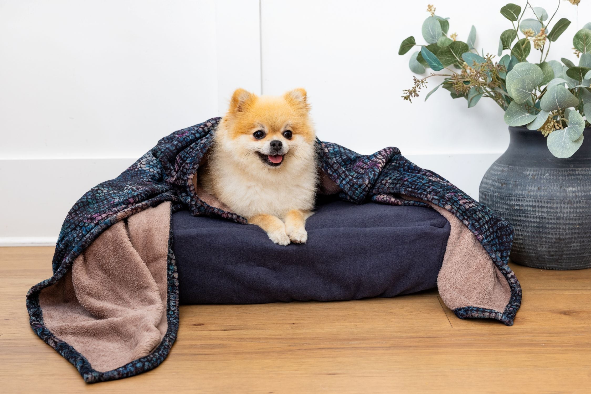 Pomeranian on Blue Toby NaturaLux bed and blanket