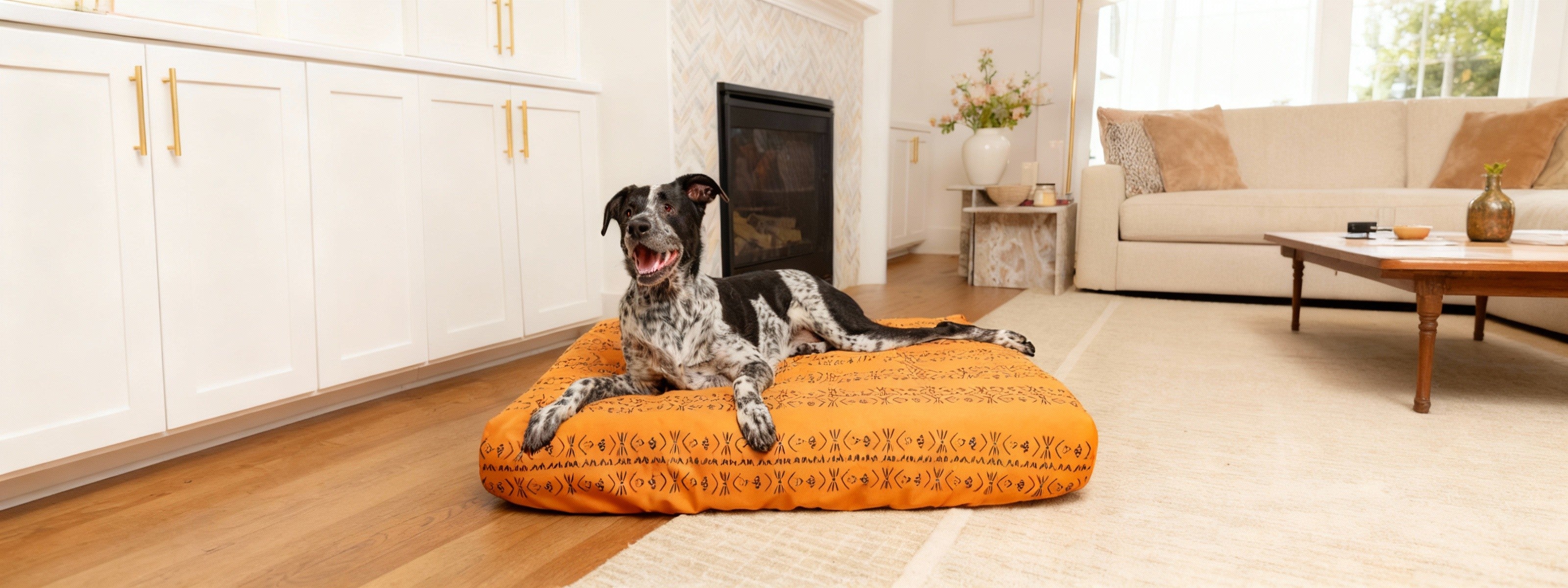 Dog lying on an orange Blue Toby pet bed in a cozy living room.