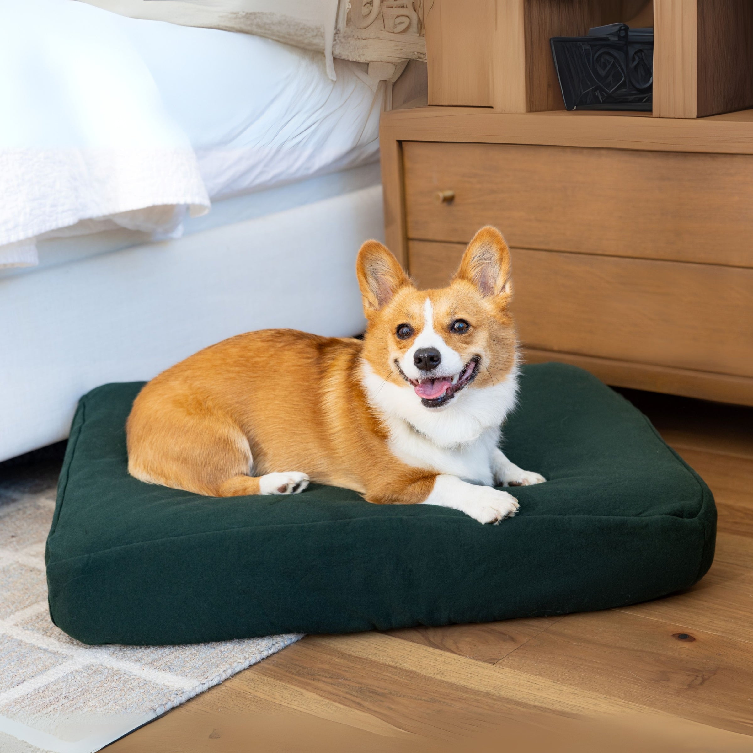 Corgi dog on Blue Toby NaturaLuxe bed in emerald
