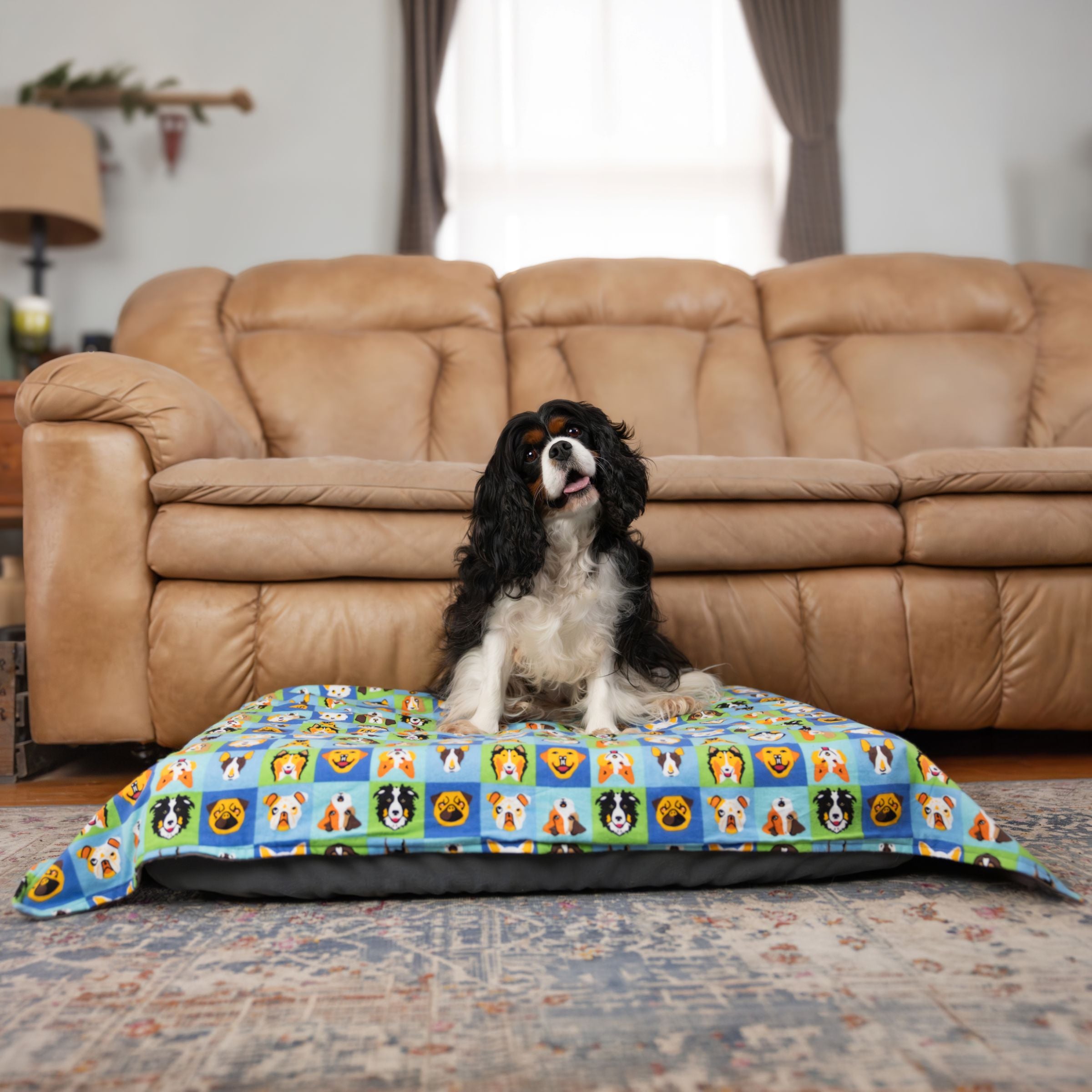 Cavalier King Charles spaniel sitting on a Blue Toby pet bed covered with a cotton flannel blanket in pattern of dog faces in a living room.