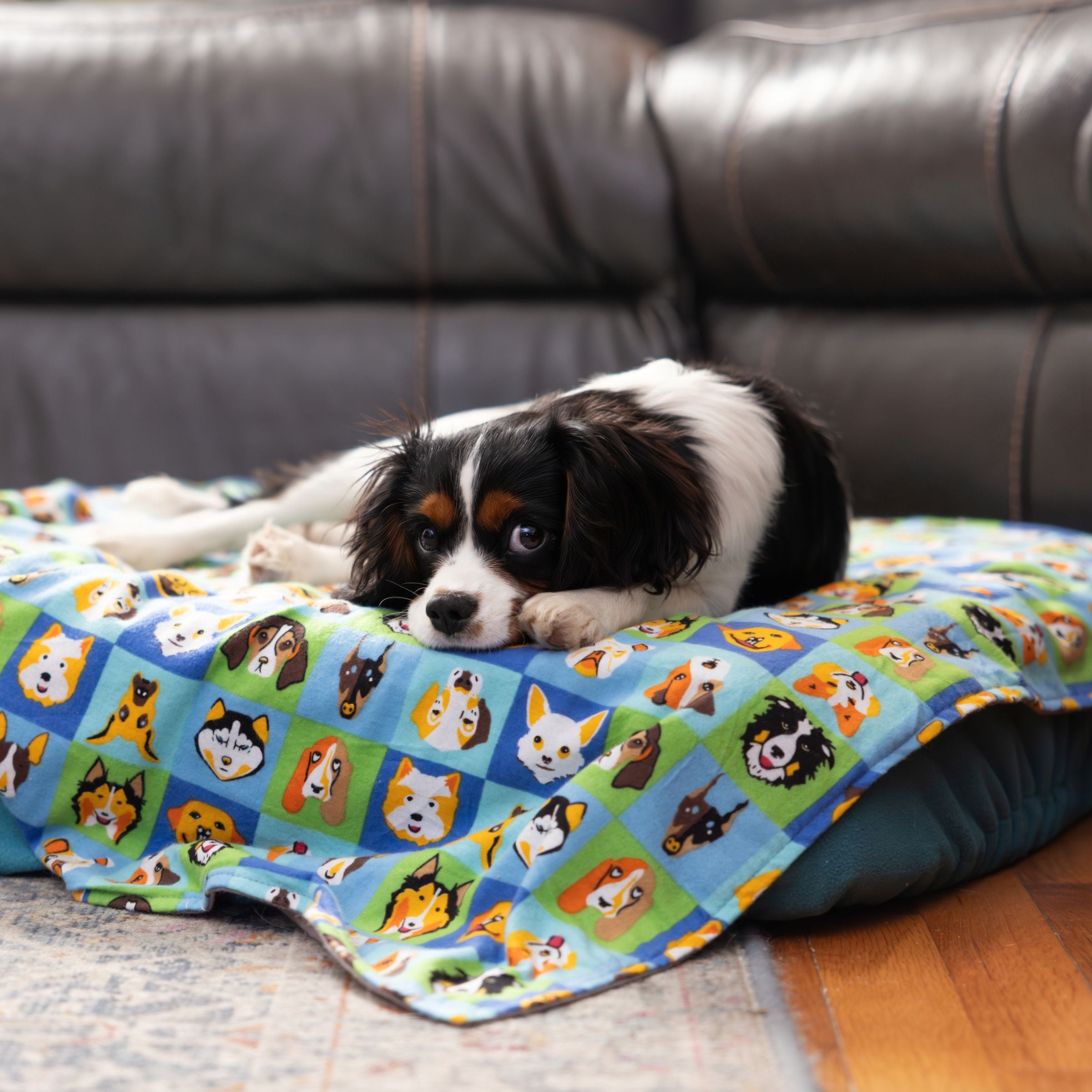 Cotton Flannel Blankets