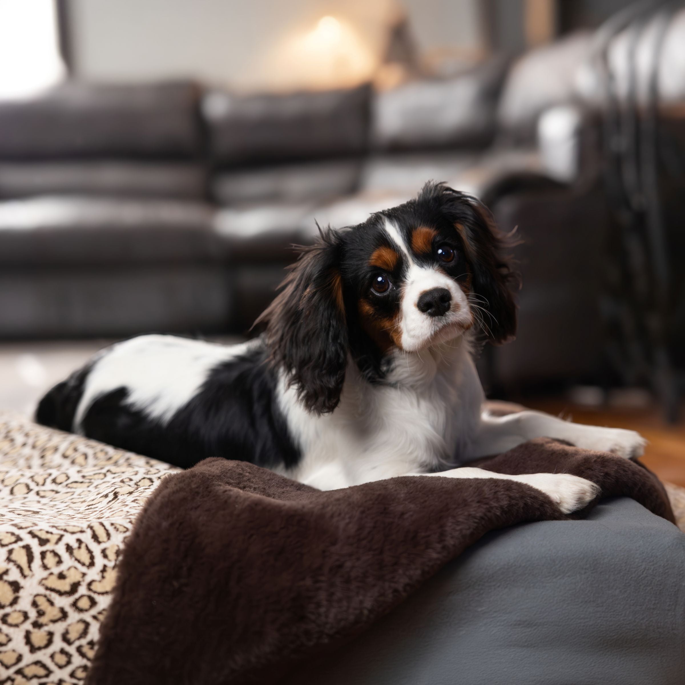 Ocelot Luxe Faux Fur Blanket