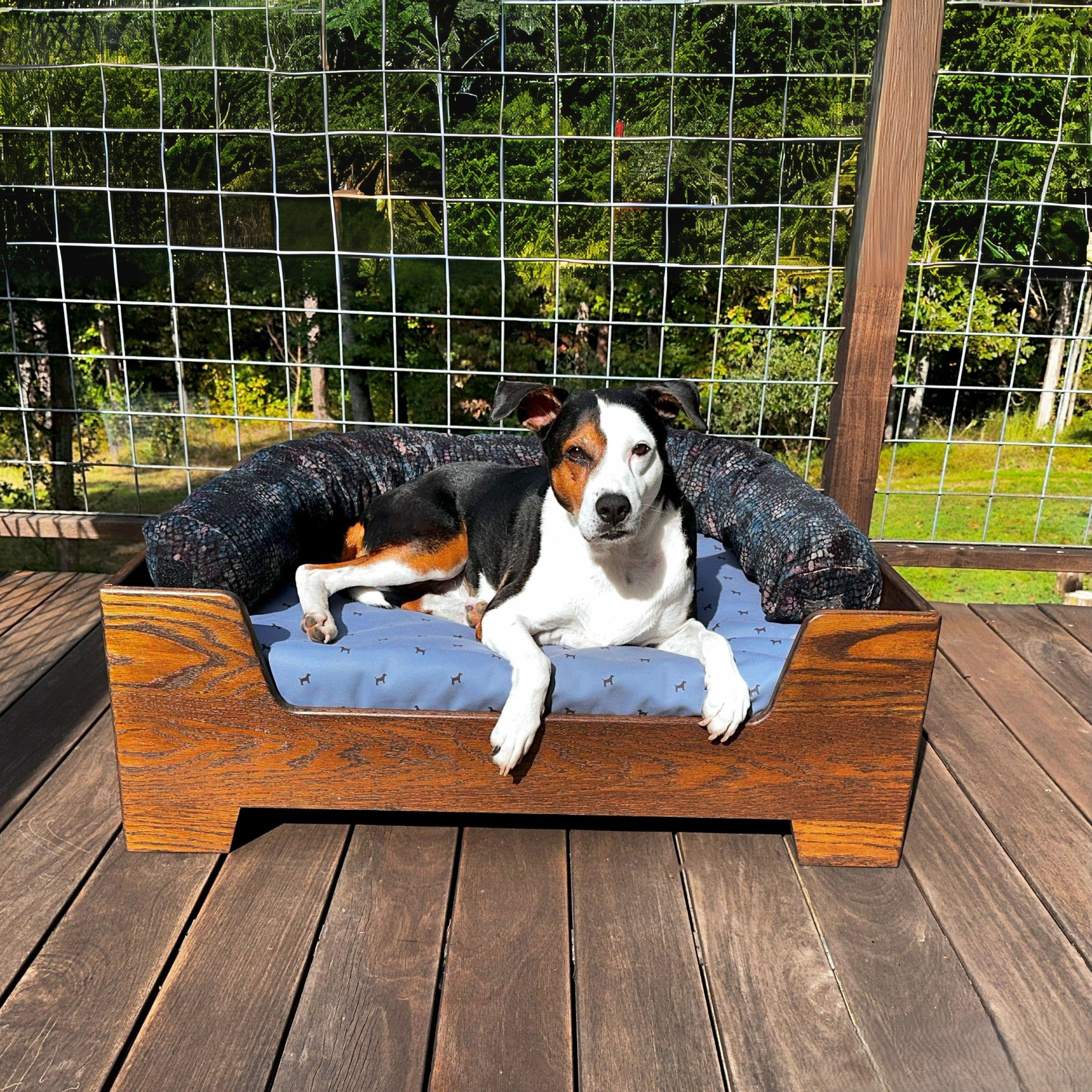 Dog outside sitting on Blue Toby bed and Timber Loft frame