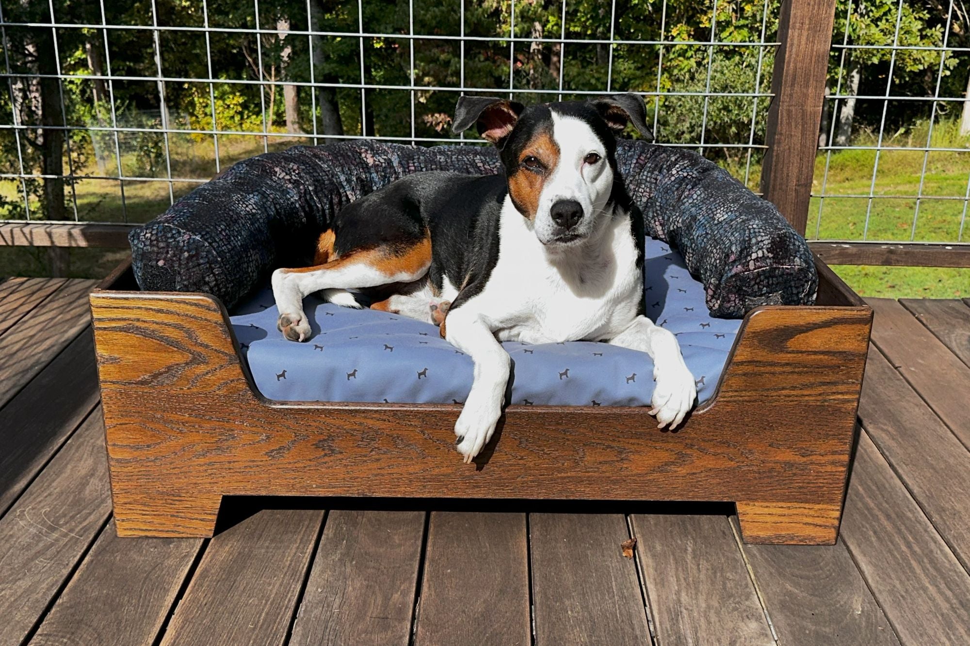 Dog lying on a Blue Toby wooden pet bed frame with a blue cushion outdoors.