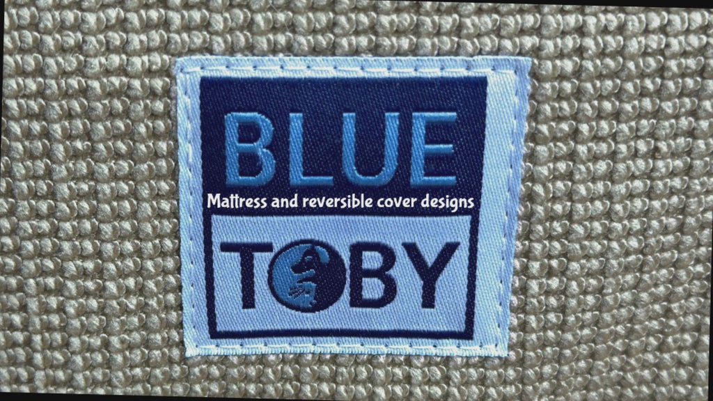 Blue Toby Reversible Cover designs