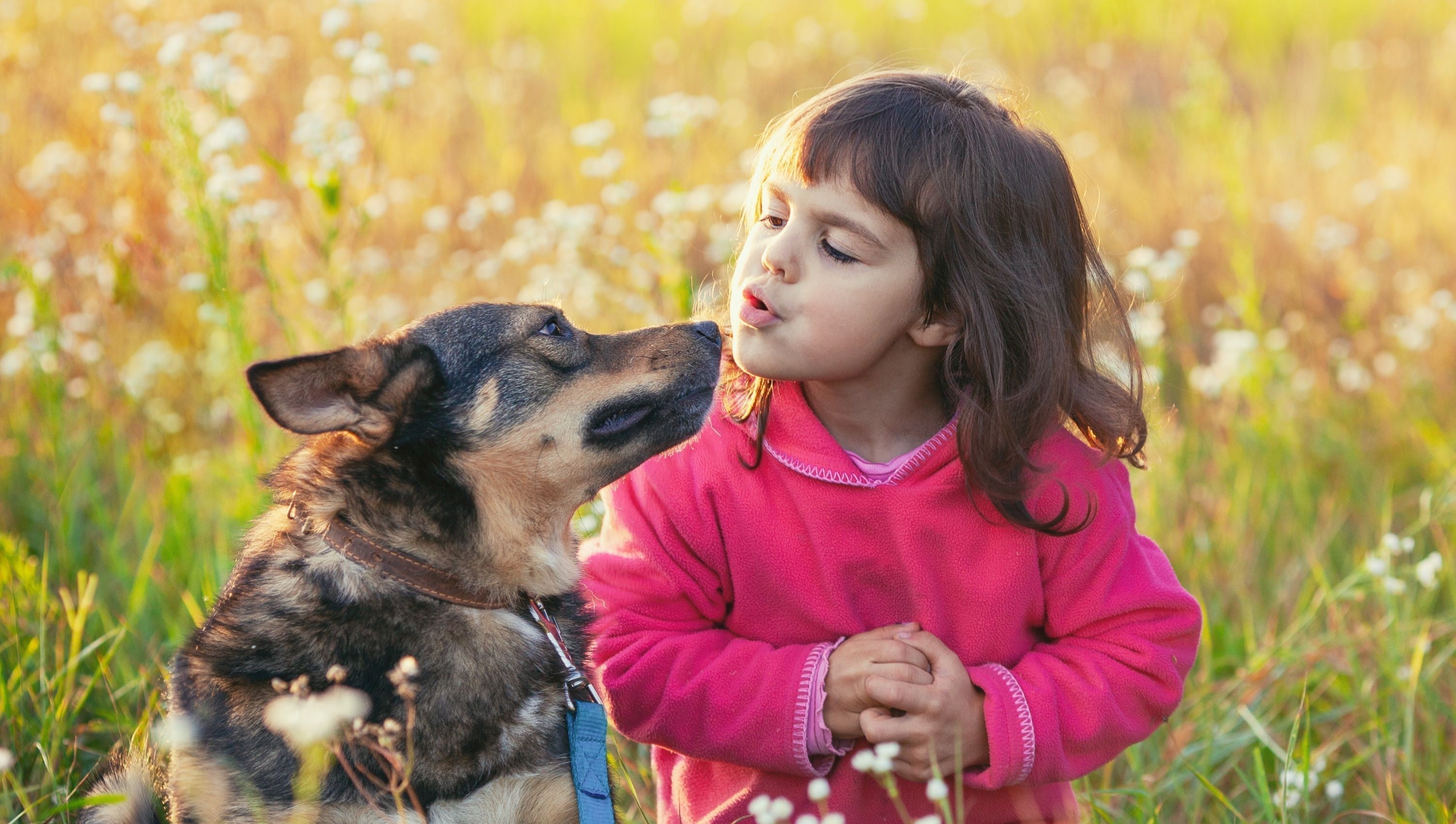 Young girl in pink coat with dog in field illustrating how pets influence mental health.