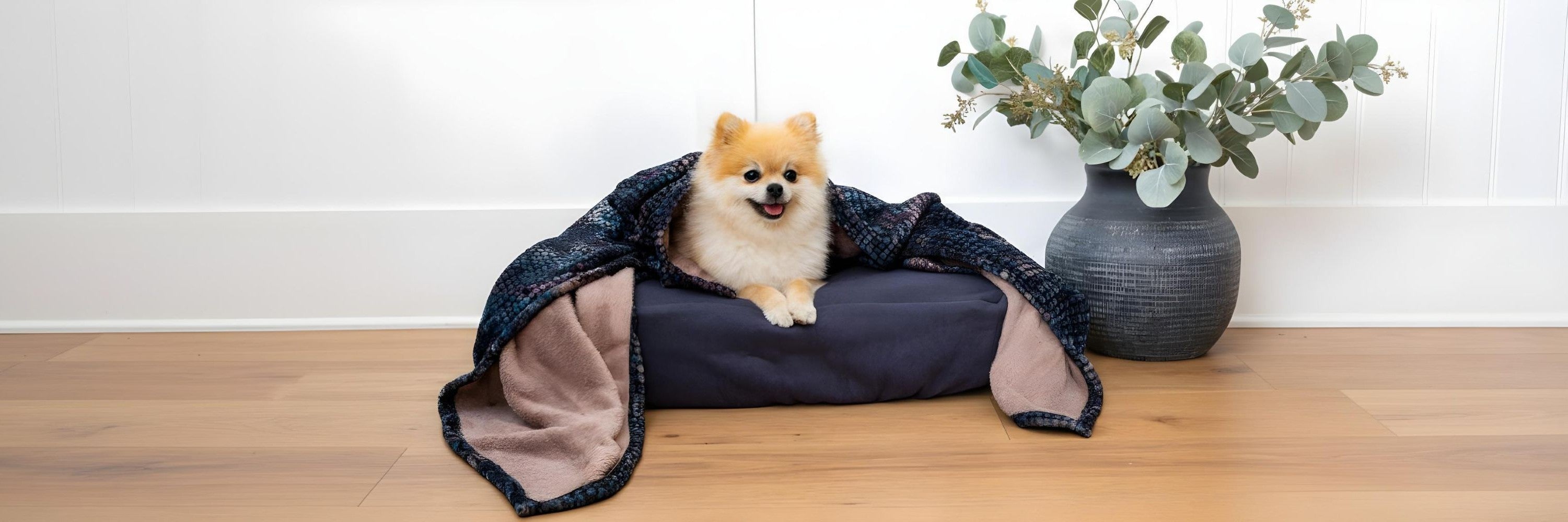 Small dog wrapped in Cuddle Blanket on Blue Toby pet bed in dining room