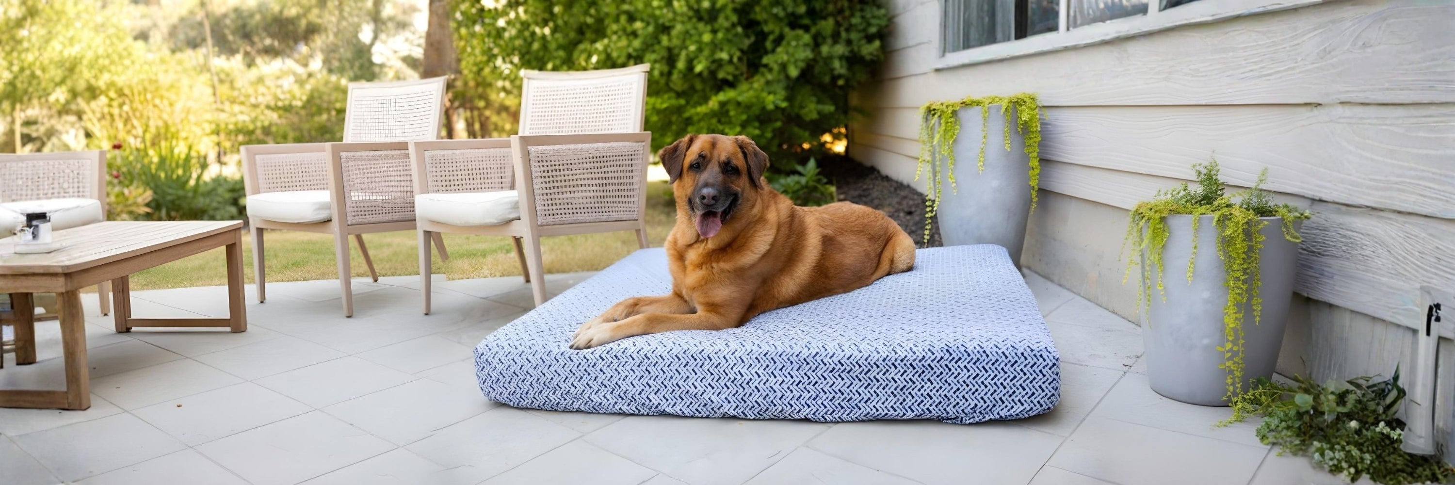 Brown dog lying on Blue Toby pet bed on patio
