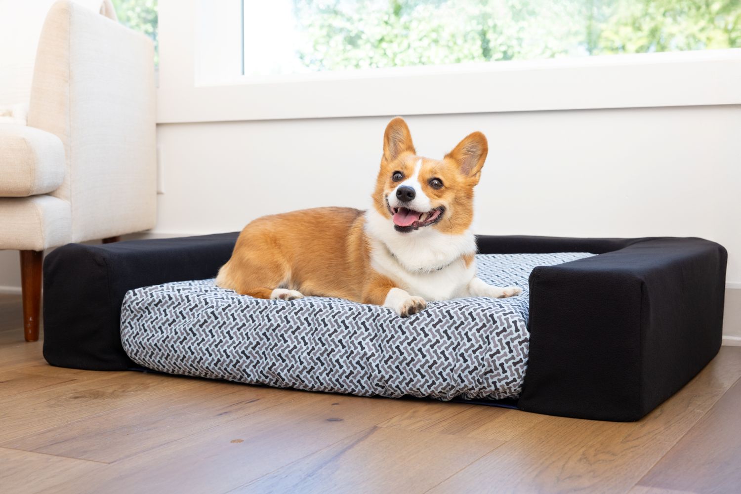 Corgi lying on Blue Toby Eco Support bed with black bolster