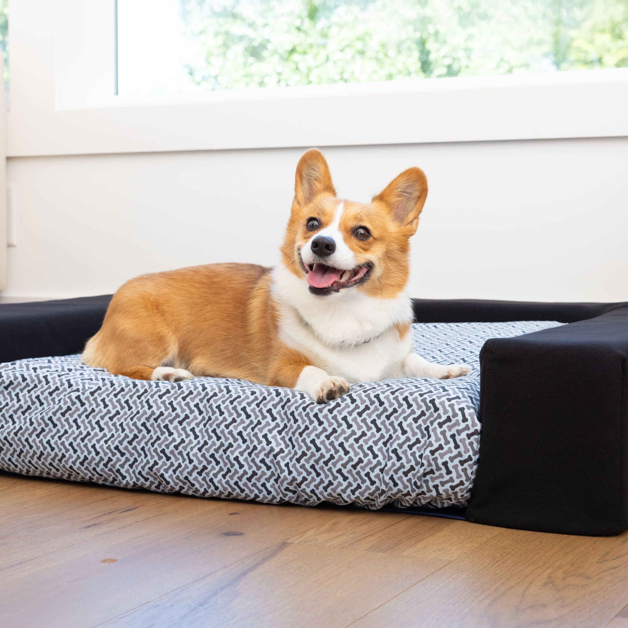 Dog on Blue Toby Pet Bed with Mod Bolsters