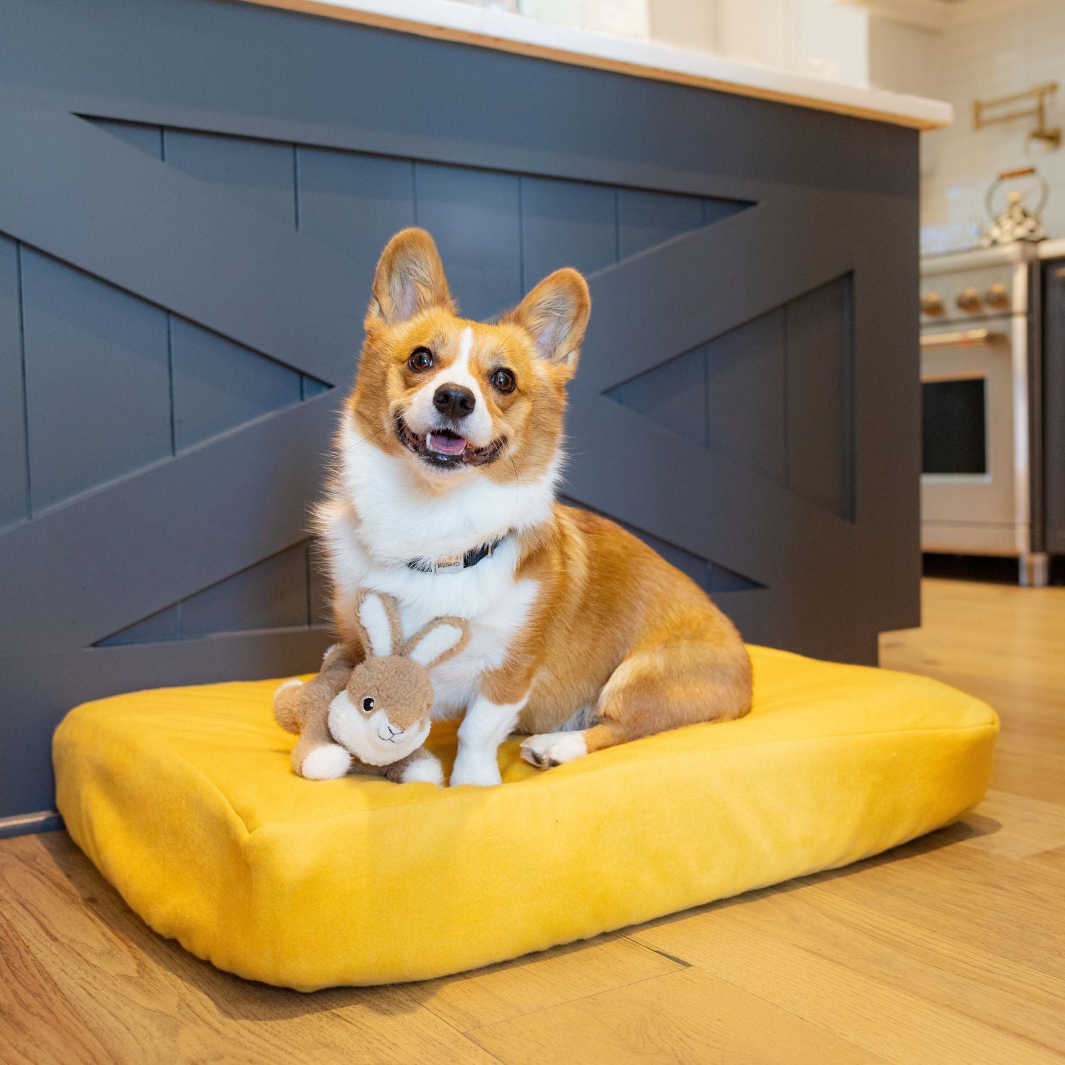 Corgi dog with bunny toy on yellow Blue Toby bed