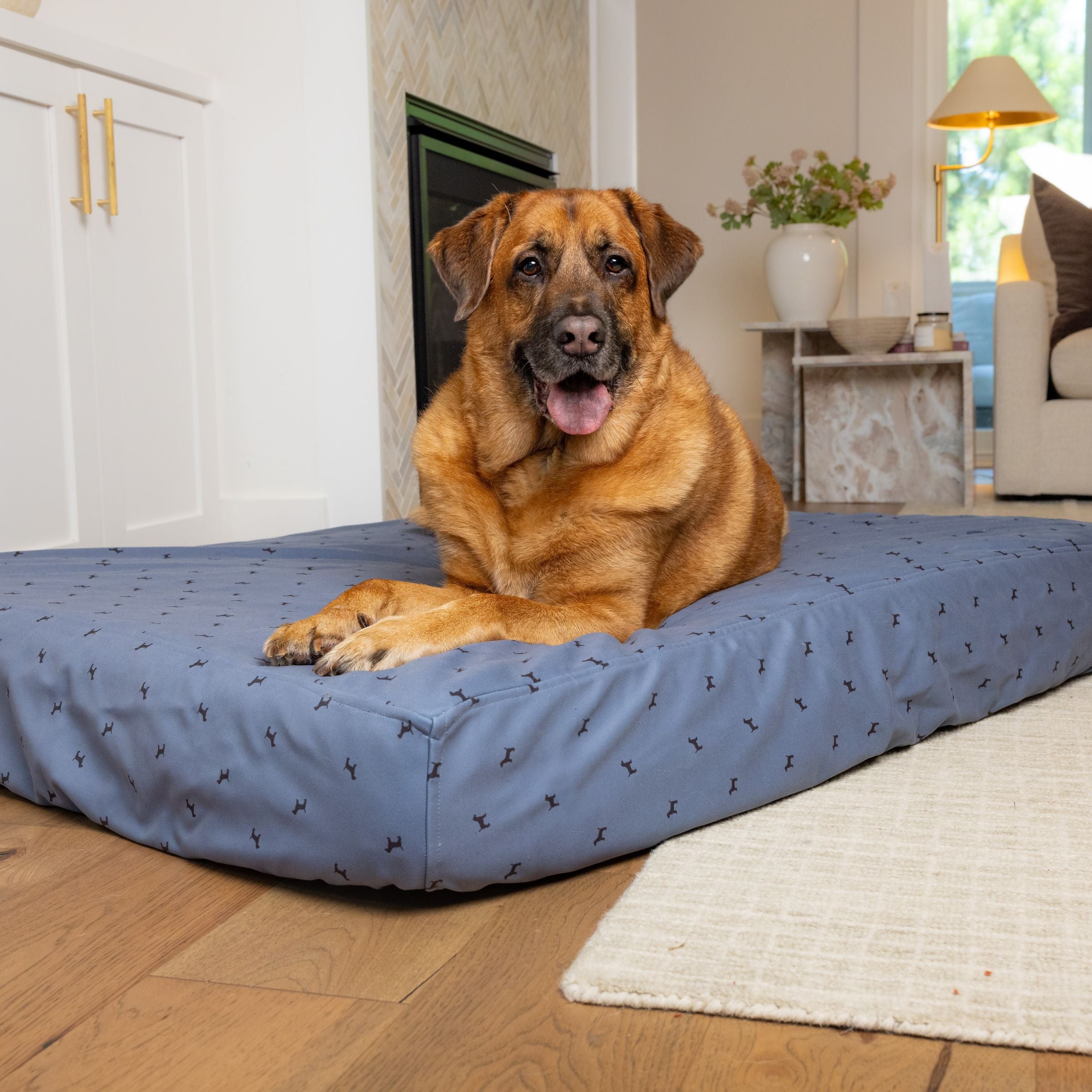 Brown dog lying on Blue Toby Eco Support pet bed with Houndstooth slipcover
