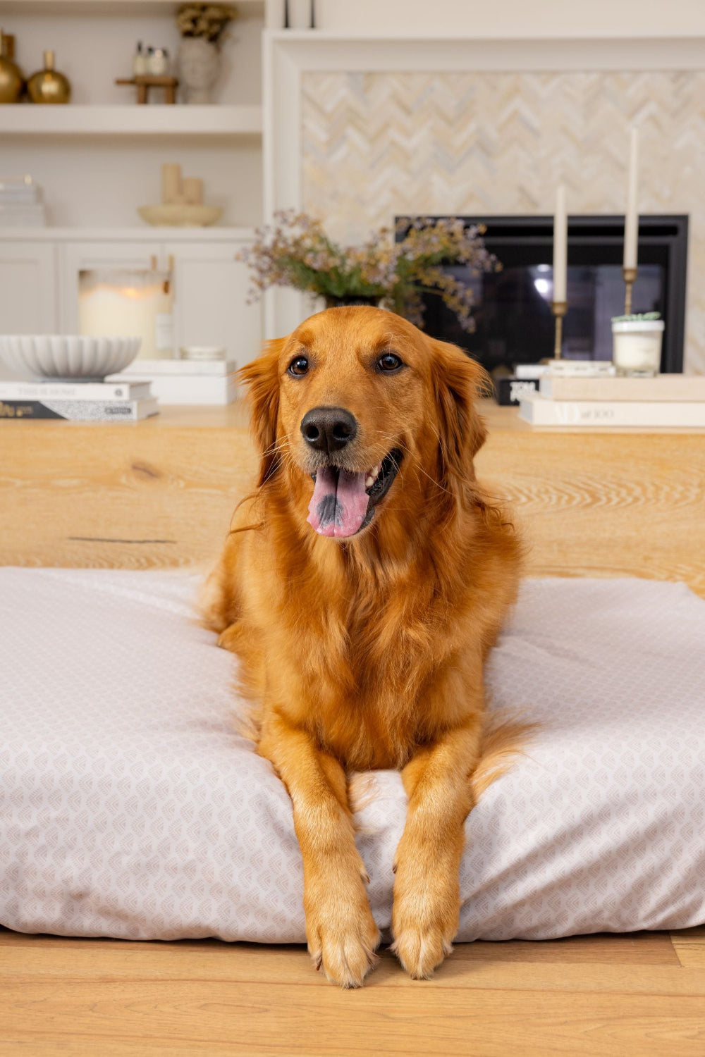 Golden  Retriever lying on Blue Toby pet bed