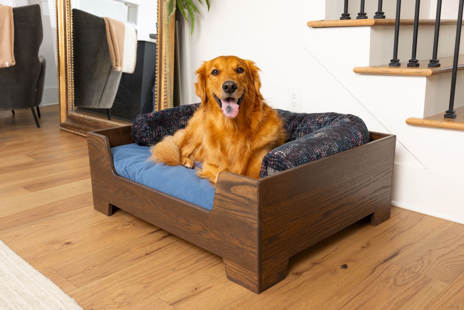 Dog on Blue Toby bed with wooden frame and Nap Noodle