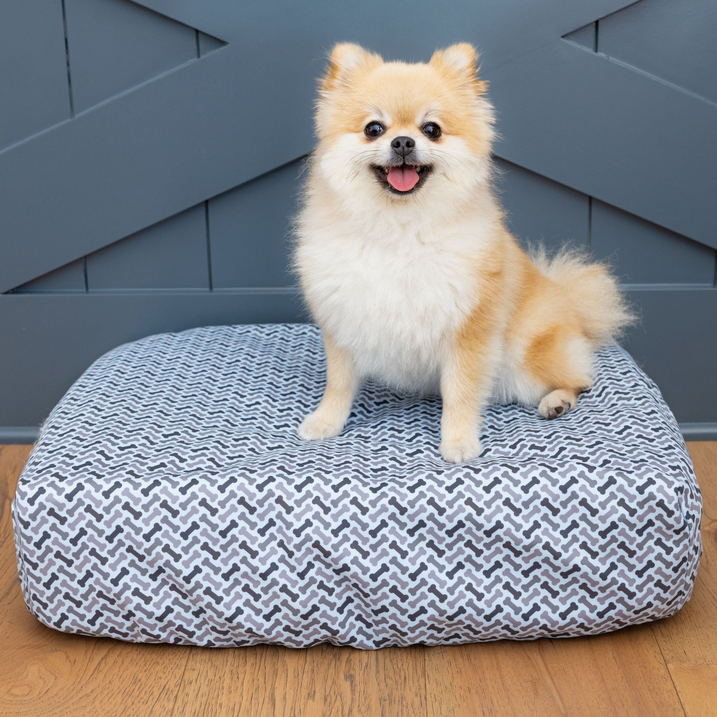 Small dog on Blue Toby Eco Support bed with Slipcover
