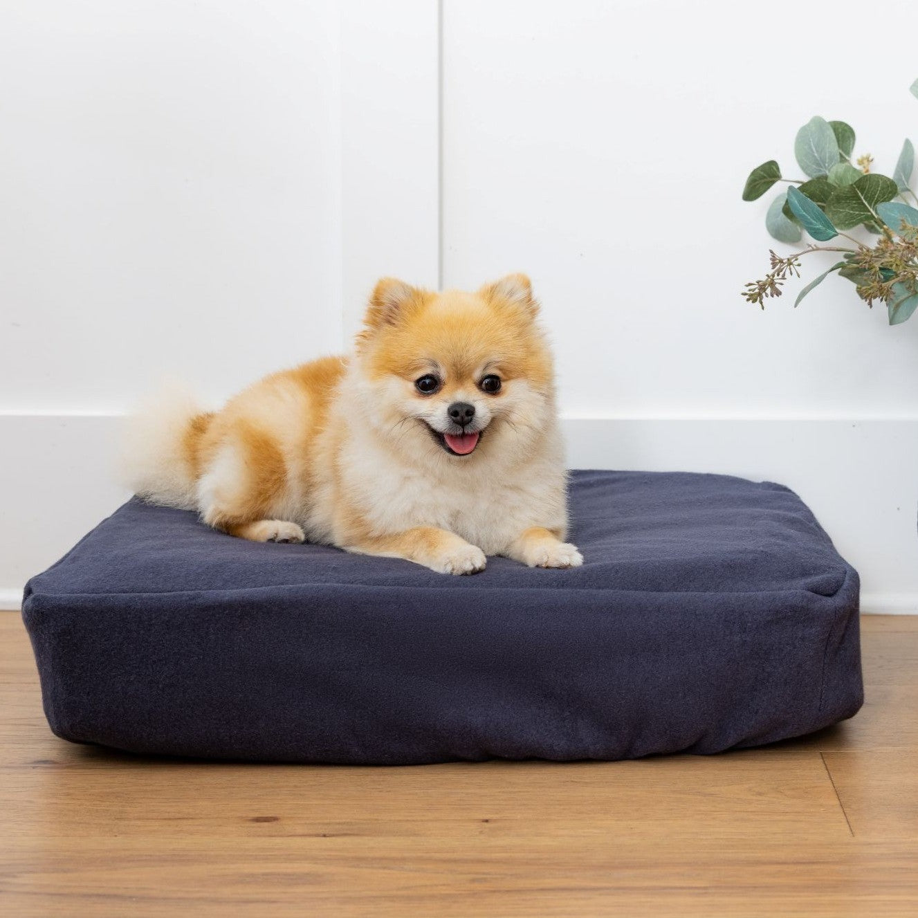 Small tan dog lying on navy Blue Toby NaturaLuxe bed