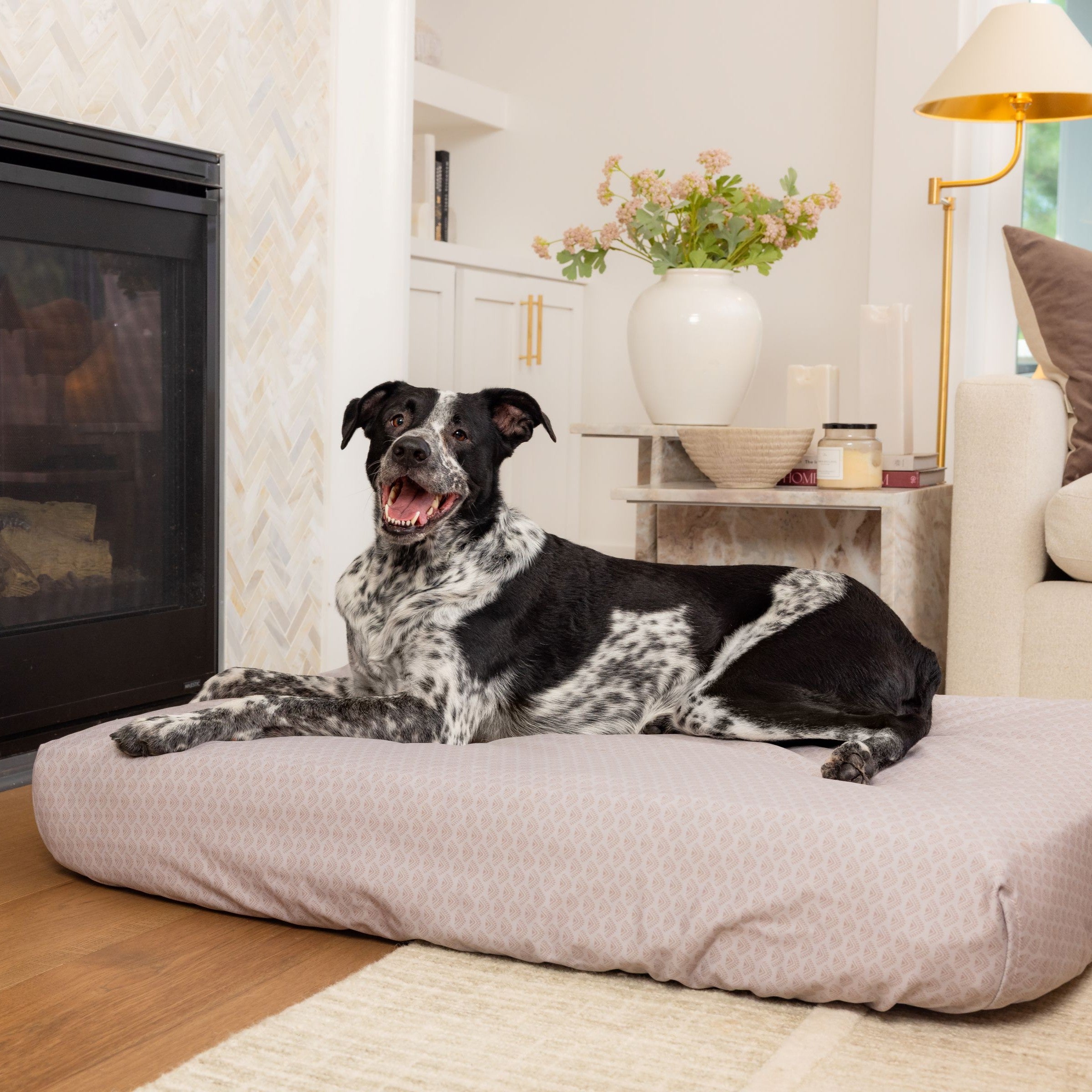 Dog on Blue Toby Eco Support bed in Retro Pet