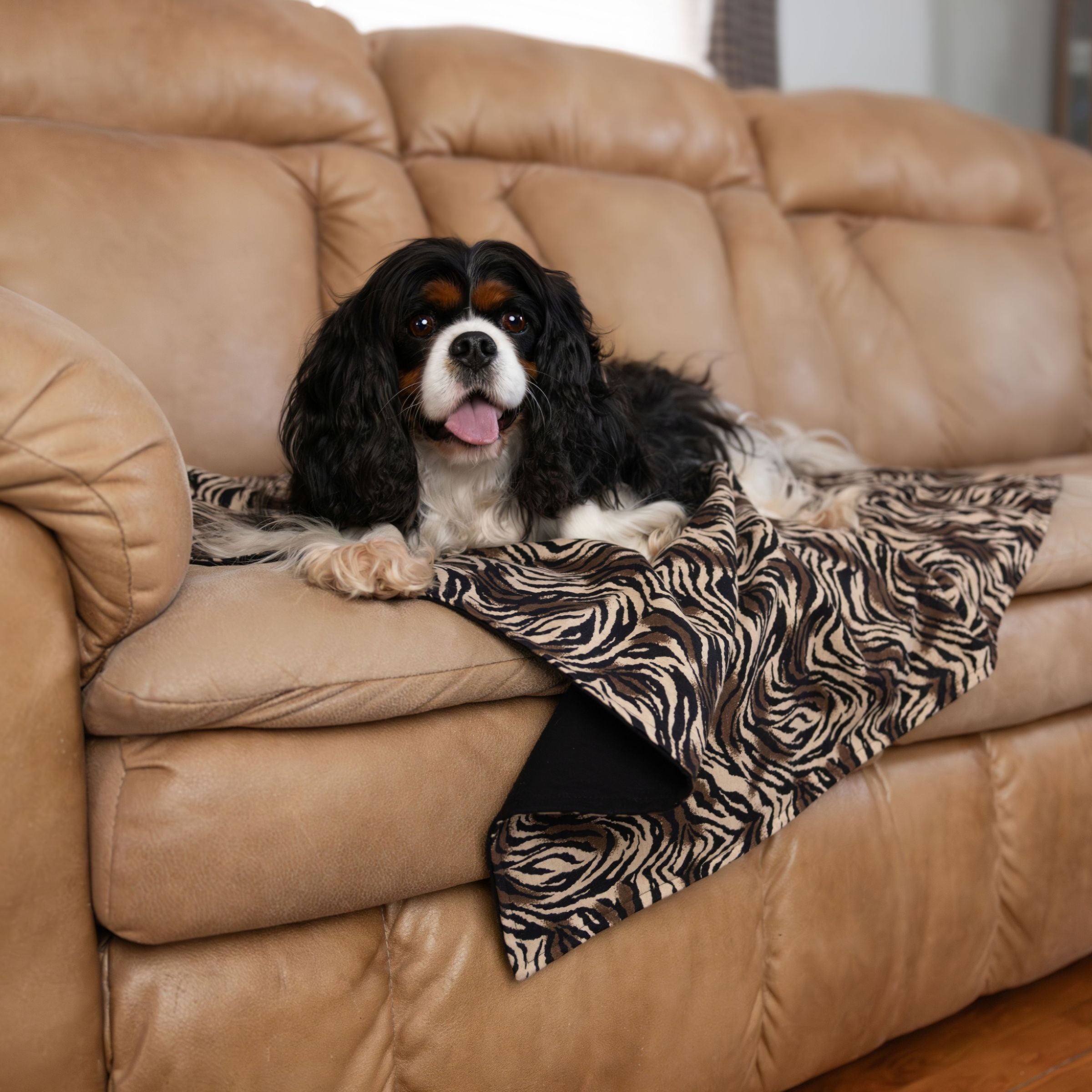 Dog lying on a brown leather couch with a Blue Toby cotton flannel zebra-patterned blanket