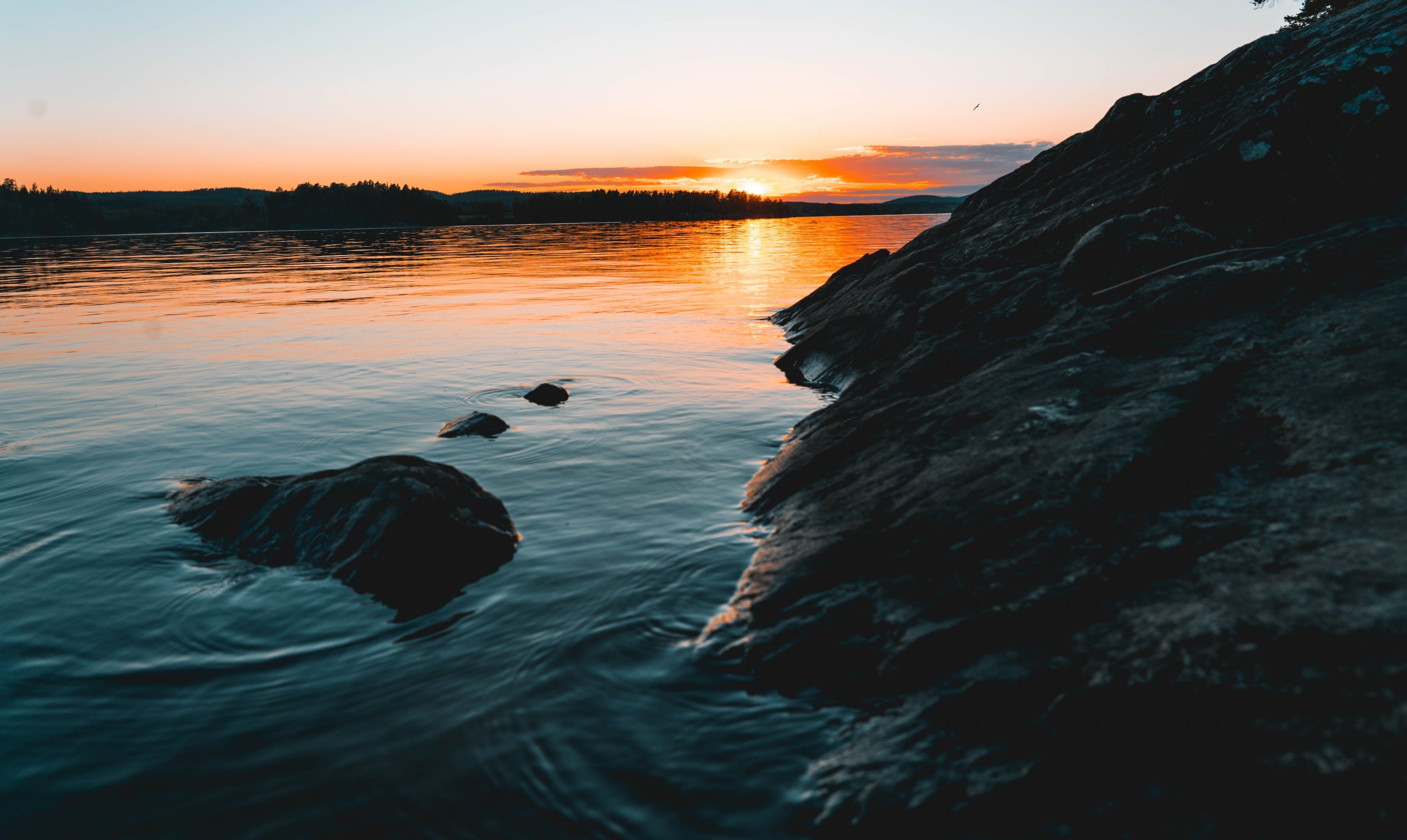 Rocky coast at sunset with Blue Toby Sustainable pet products