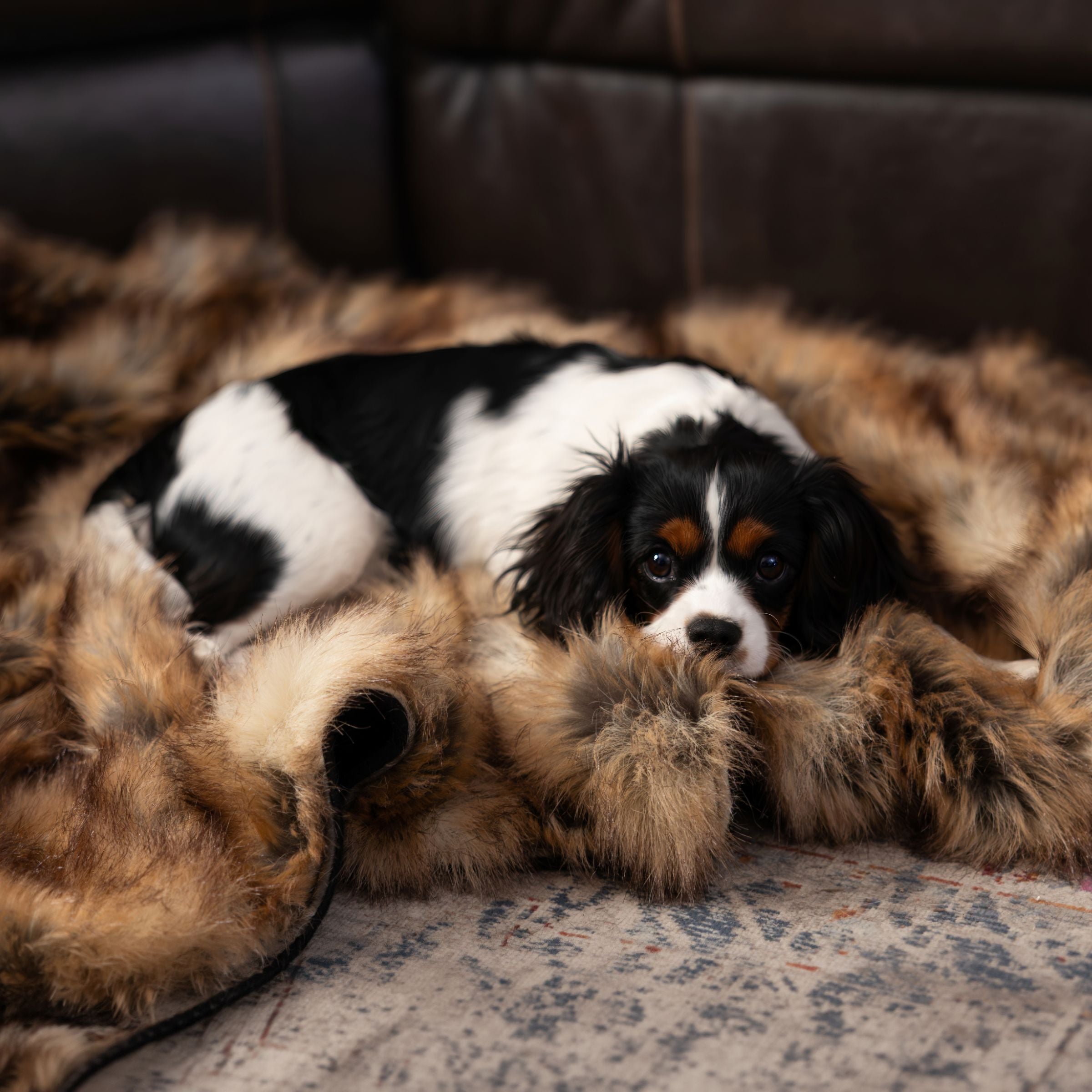 Arctic Faux Fur Blanket
