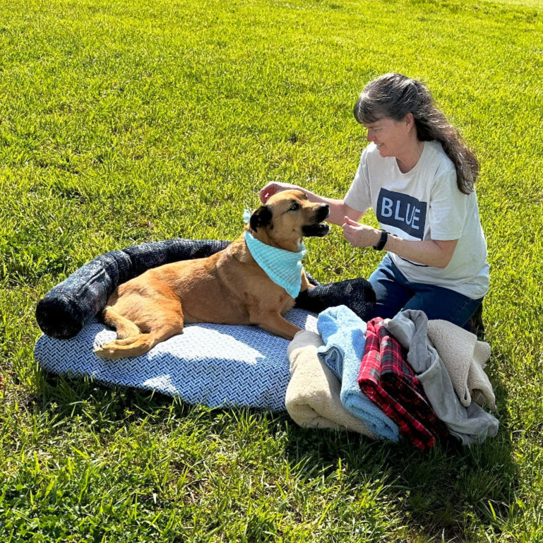 Blue Toby's founder donating bed to paraplegic dog